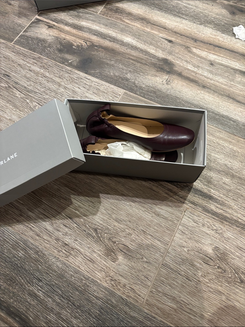 Everlane Women's Deep Wine Leather Ballet Flats